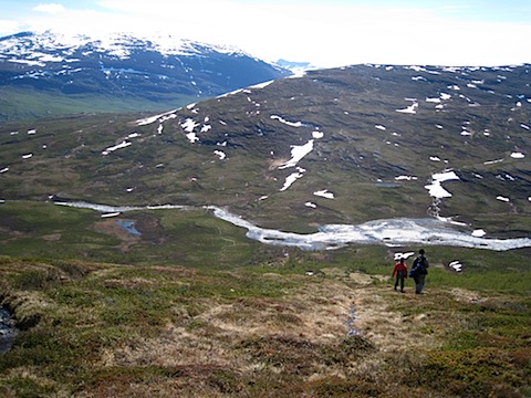 Abisko Juni 2009 dag 4 - 23.jpg